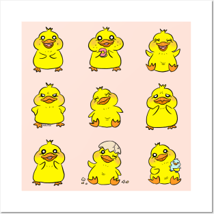 Yellow baby chick Posters and Art